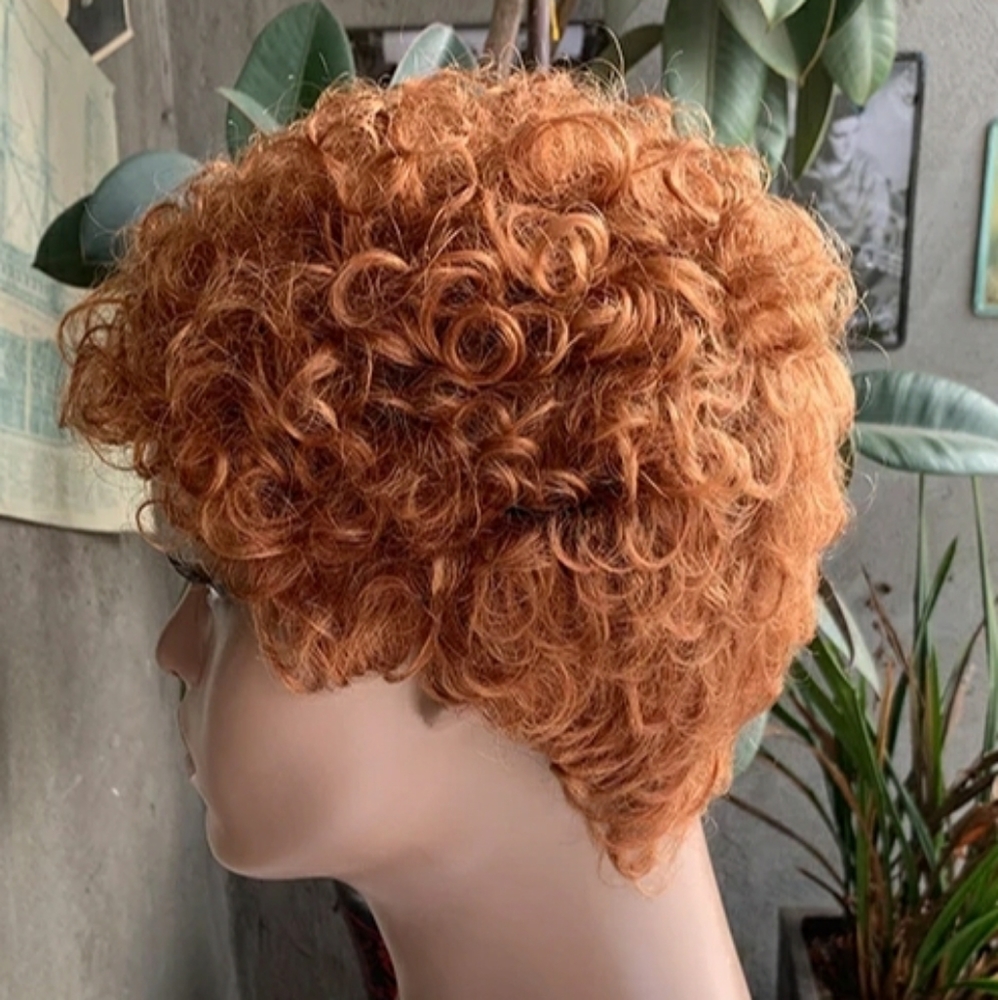 100% human hair wig
